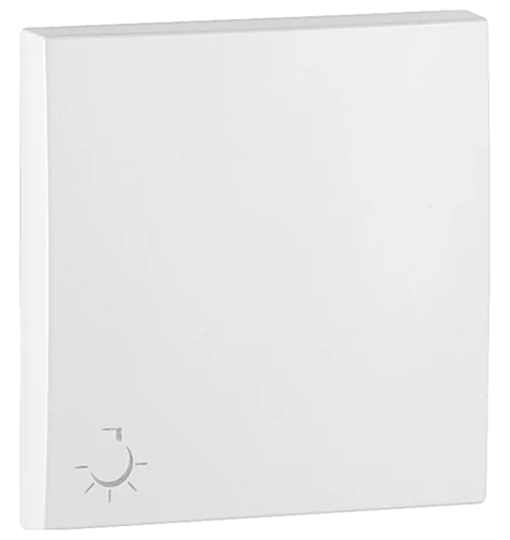 Rocker for Switches with Lamp Symbol