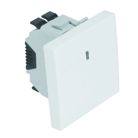 Single Pole Switch with Orienting Light - 2 Modules